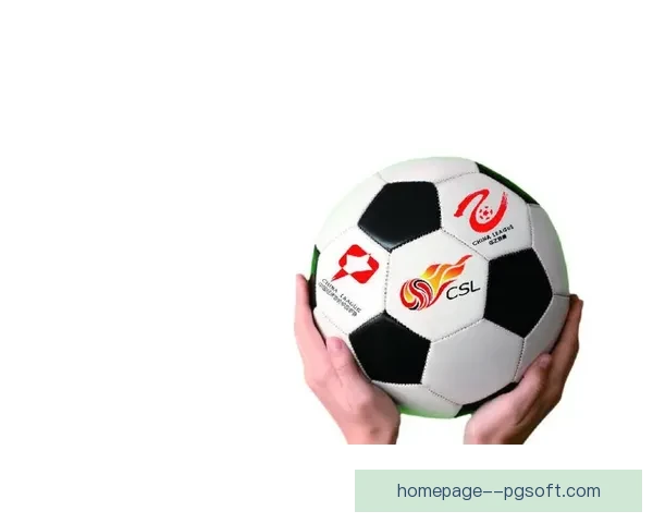 中国足球开启职业联赛最严格准入审核机制确保规范发展 中国足球开启职业联赛最严格准入审核机制确保规范发展