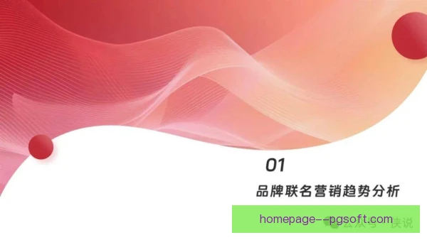 梯队主力品牌联名策略，年轻球员商业价值再放大